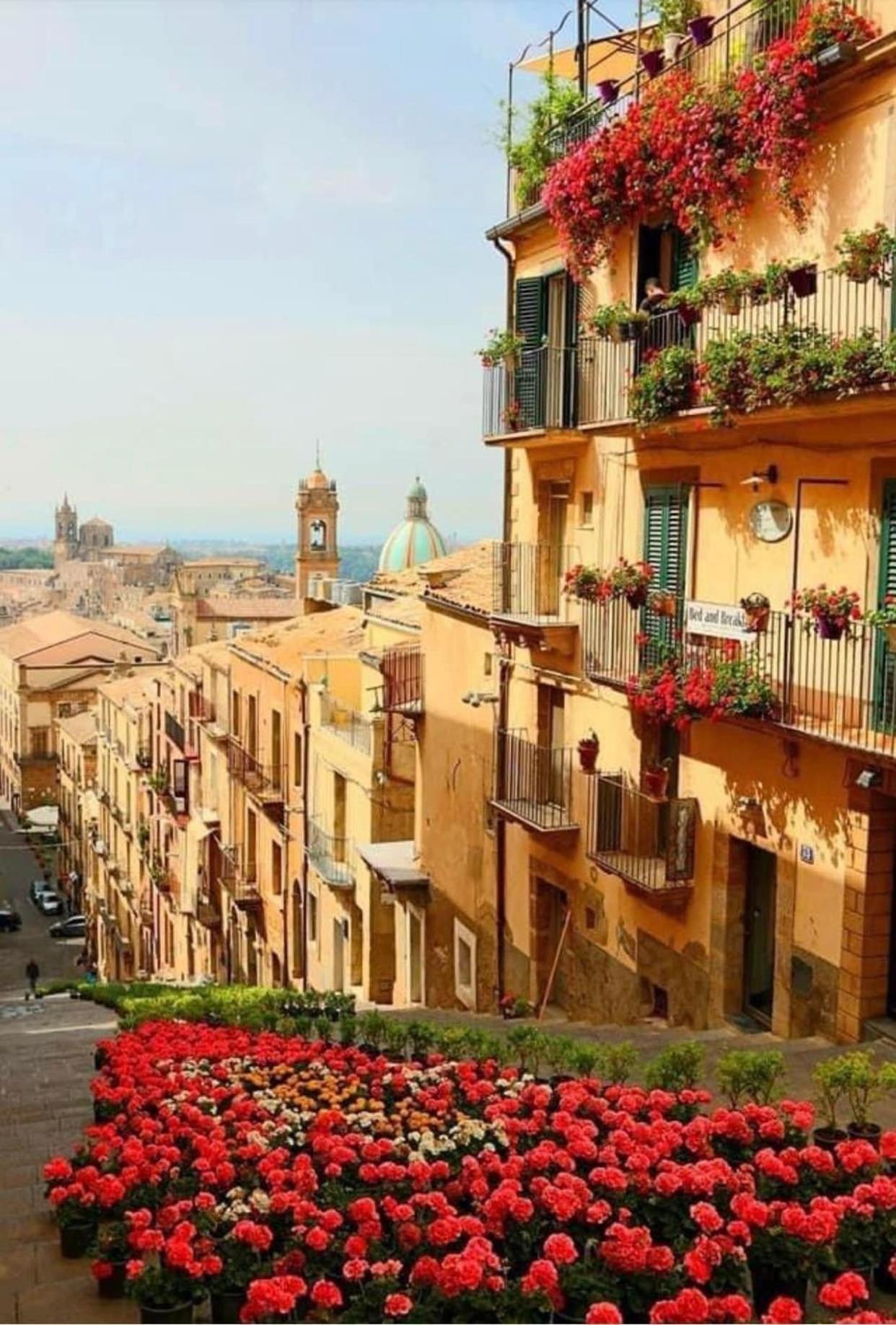 Casa Tipica Siciliana Patronale Home Bedandbreakfast Tremetrisoprailcielo Camere Con Vista, Colazione Interna In Terrazzo Panoramico カルタジローネ エクステリア 写真
