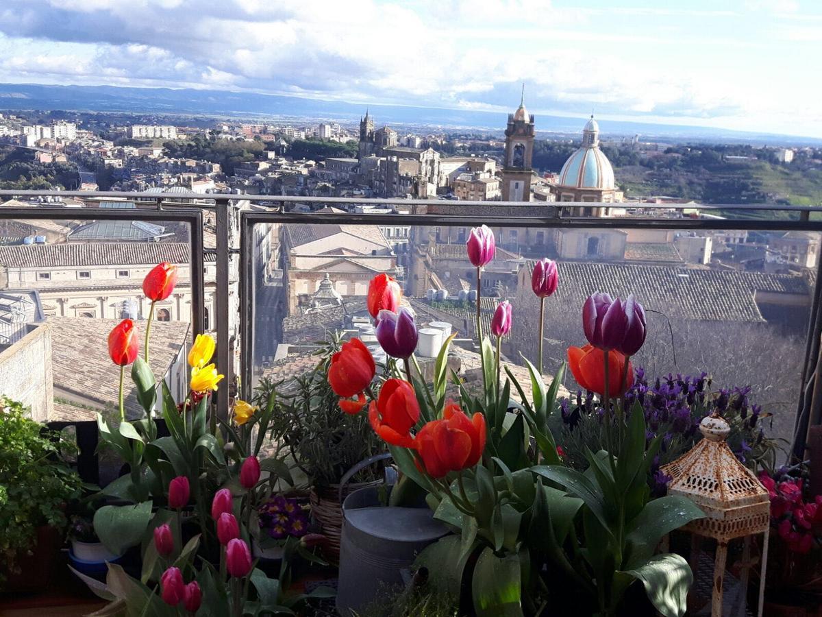 Casa Tipica Siciliana Patronale Home Bedandbreakfast Tremetrisoprailcielo Camere Con Vista, Colazione Interna In Terrazzo Panoramico カルタジローネ エクステリア 写真