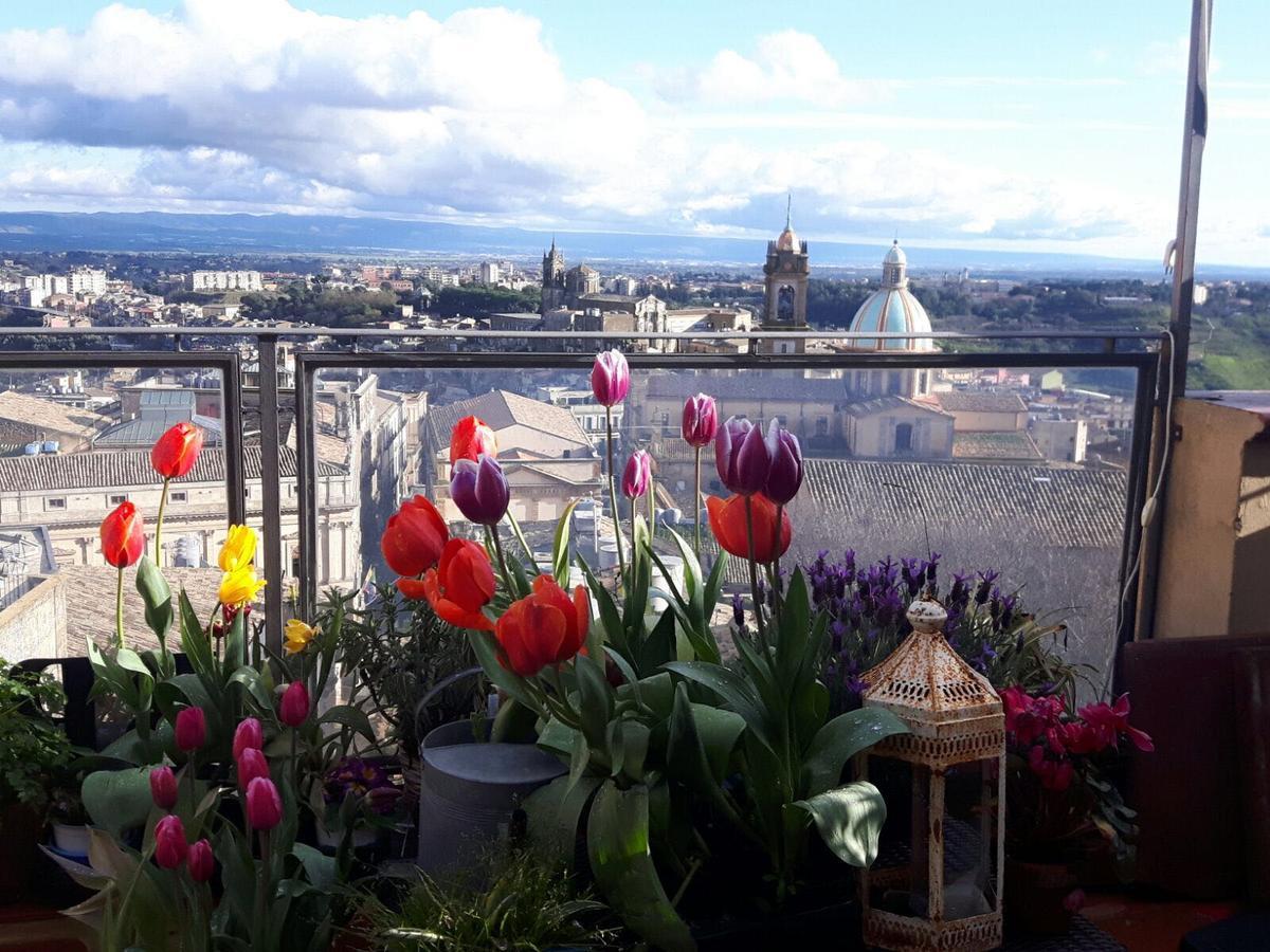 Casa Tipica Siciliana Patronale Home Bedandbreakfast Tremetrisoprailcielo Camere Con Vista, Colazione Interna In Terrazzo Panoramico カルタジローネ エクステリア 写真