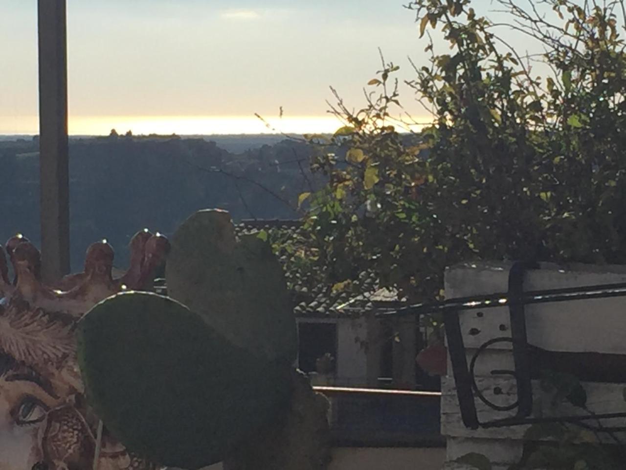 Casa Tipica Siciliana Patronale Home Bedandbreakfast Tremetrisoprailcielo Camere Con Vista, Colazione Interna In Terrazzo Panoramico カルタジローネ エクステリア 写真