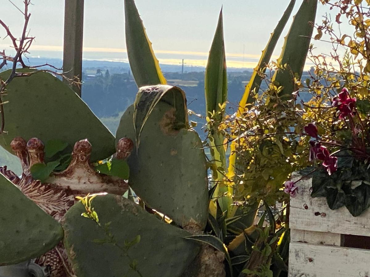 Casa Tipica Siciliana Patronale Home Bedandbreakfast Tremetrisoprailcielo Camere Con Vista, Colazione Interna In Terrazzo Panoramico カルタジローネ エクステリア 写真